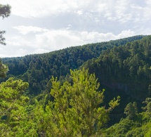 Viaje Iniciático al Corazón de La Palma - Septiembre 2025
