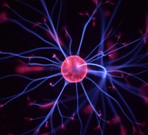 Descubrimientos de la ciencia sobre la inteligencia del cerebro del corazón Descubrimientos de la ciencia sobre la inteligencia del cerebro del corazón