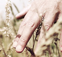 Fe y esperanza en tiempo de crisis Fe y esperanza en tiempo de crisis