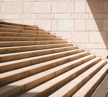 Lo ciclos de la vida