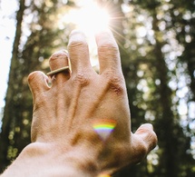 Entendiendo las causas, empezamos a sanar