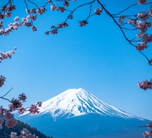 Japón 2025: Un viaje que despertó mi corazón