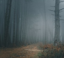 Los asaltantes del Camino: Los miedos