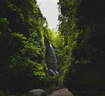 Benahoare - La isla de La Palma